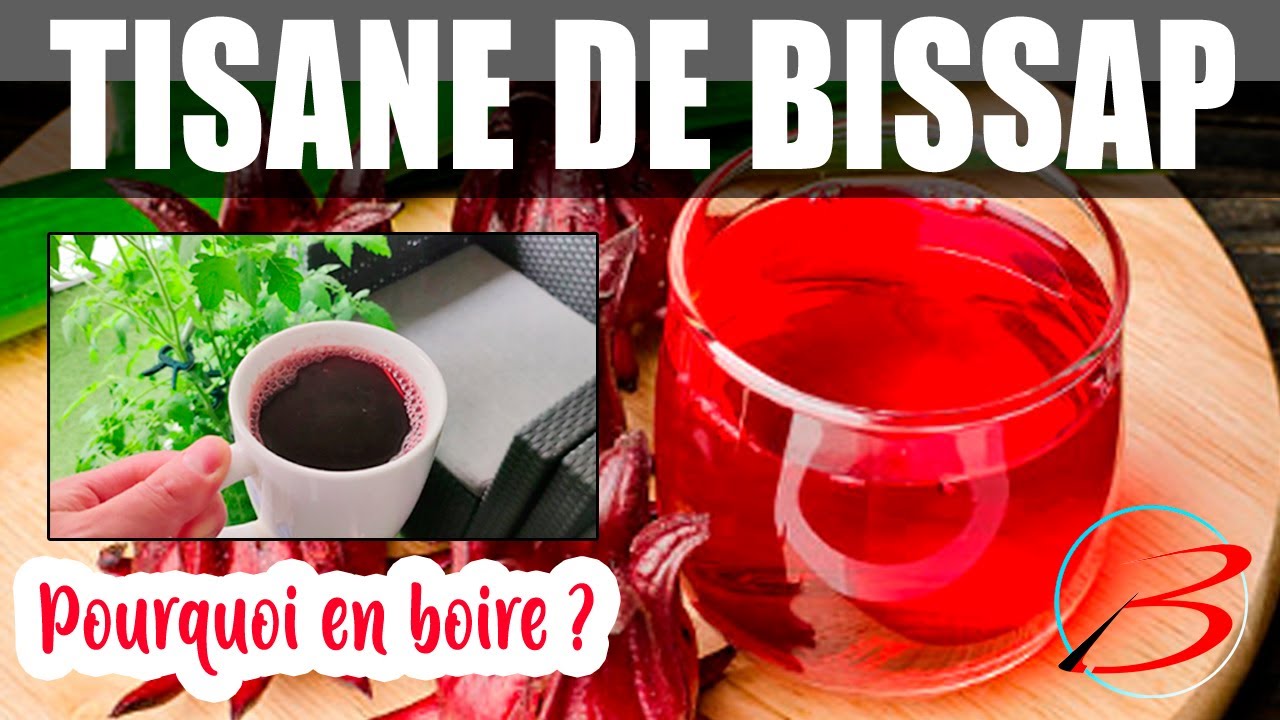 Recette tisane de BISSAP, un médicament et un concentré d'effets bien être - BOOST NOW E63