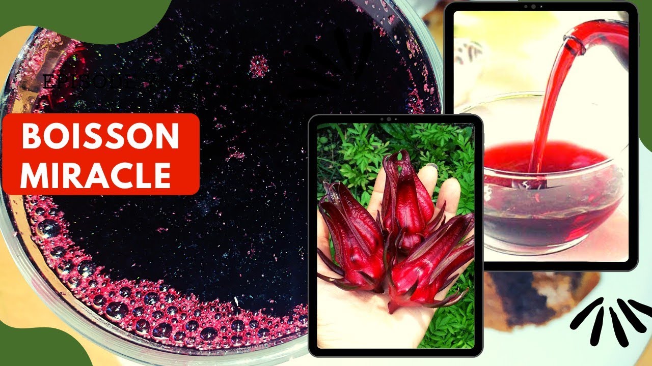 Infusion d'hibiscus | Maigrir avec le bissap (Oseille)