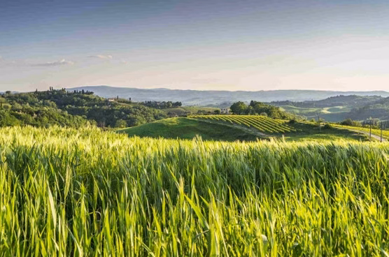 Du champ à l’assiette : agriculture de demain et soirée spéciale – Cinq bonnes raisons de participer à l’Agri