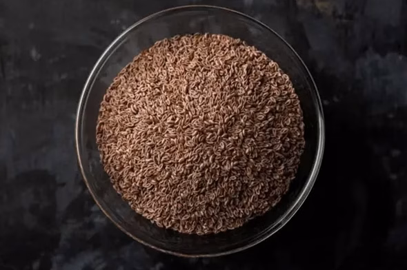 Visuel : Cuisson du quinoa : le geste précis pour des grains légers